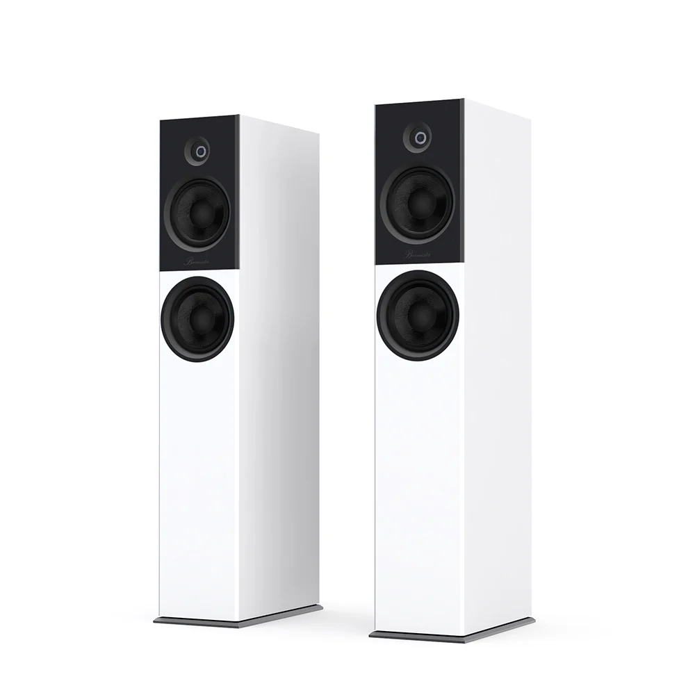 Burmester B18 Floorstanding Speaker - Image 5