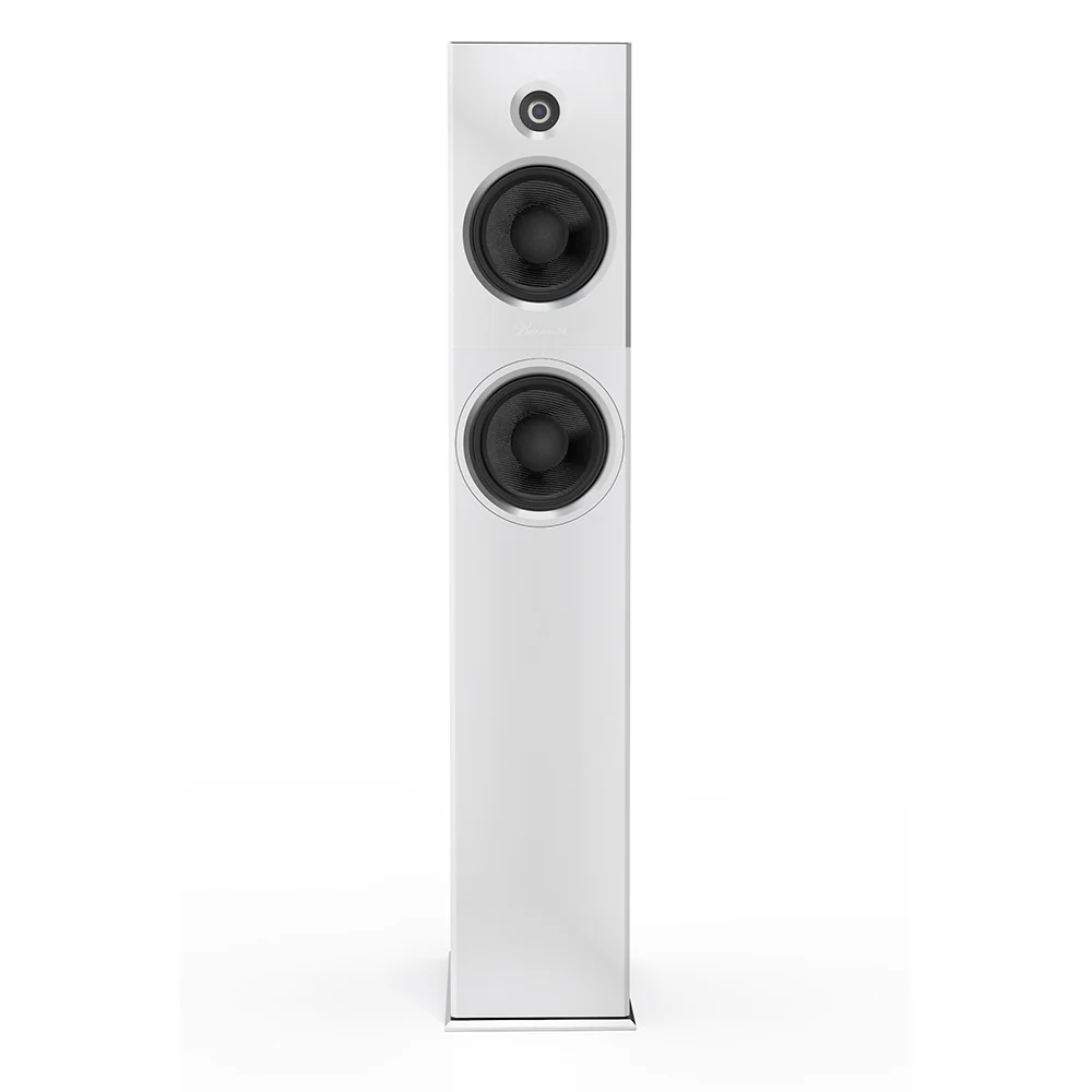 Burmester B18 Floorstanding Speaker - Image 9