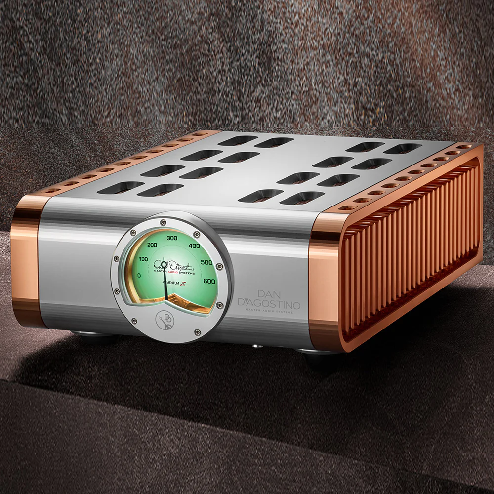 D'Agostino Momentum Z Monoblock Amplifier - Image 3
