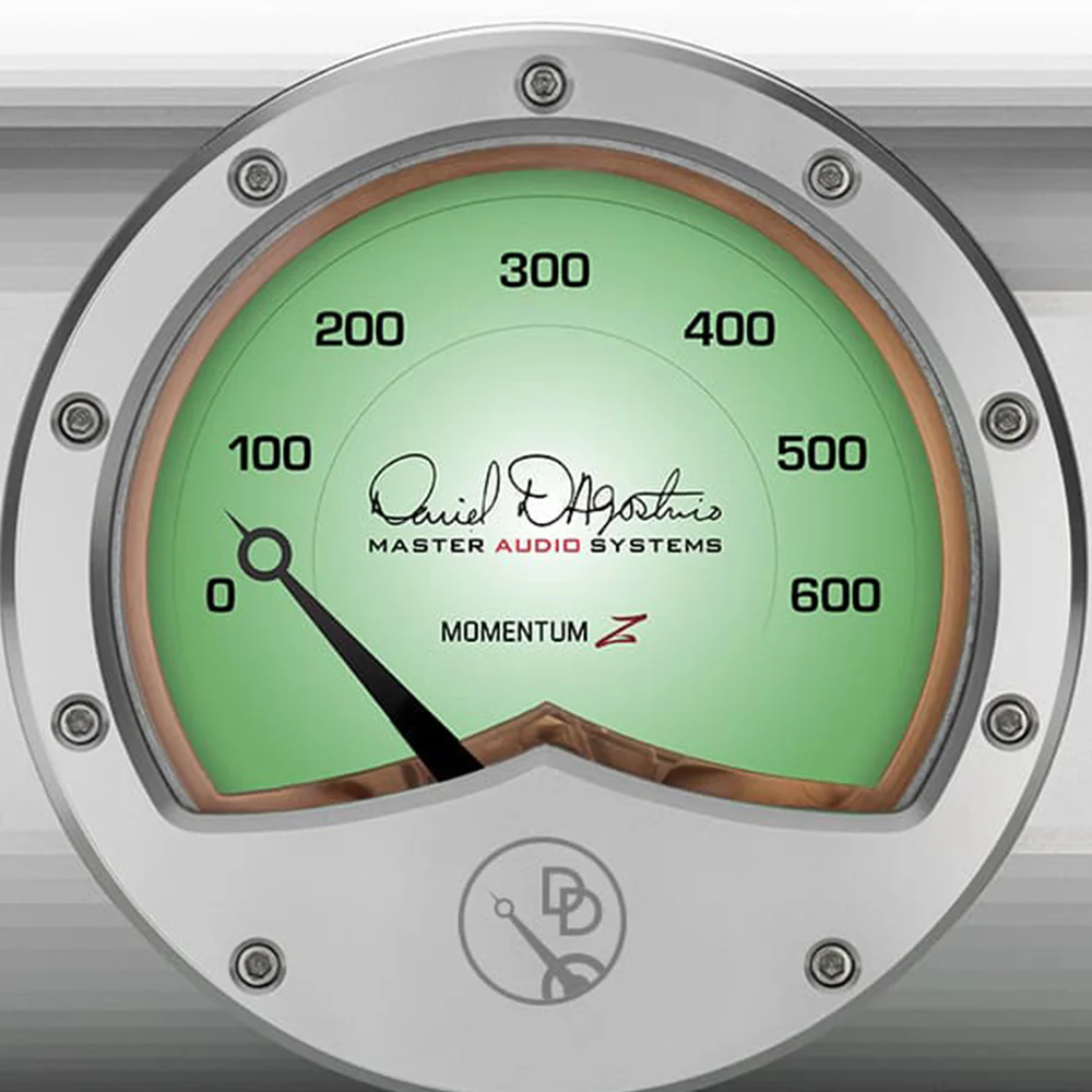 D'Agostino Momentum Z Monoblock Amplifier - Image 4