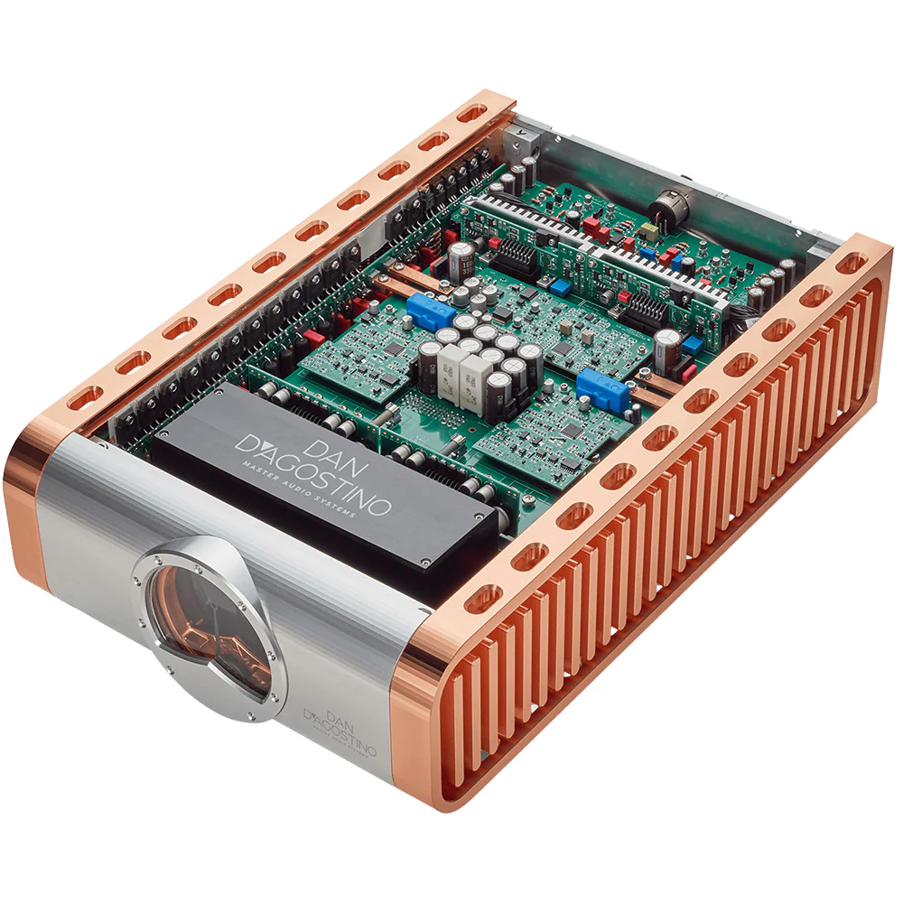 D'Agostino Momentum Z Monoblock Amplifier - Image 5