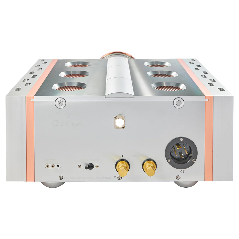 Dan D'Agostino Relentless 800 Monoblock Amplifier - Image 3
