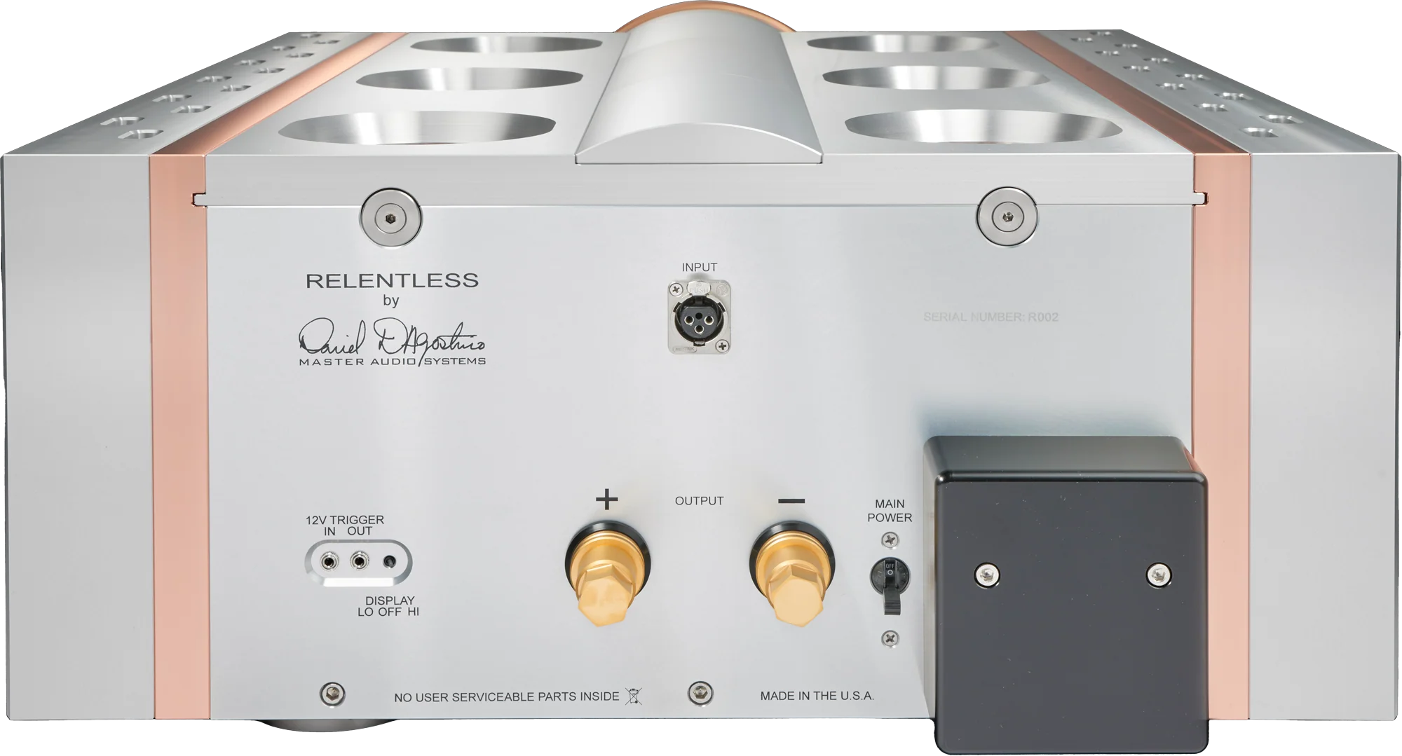 Dan D'Agostino Relentless Epic 1600 Monoblock Amplifier - Image 3