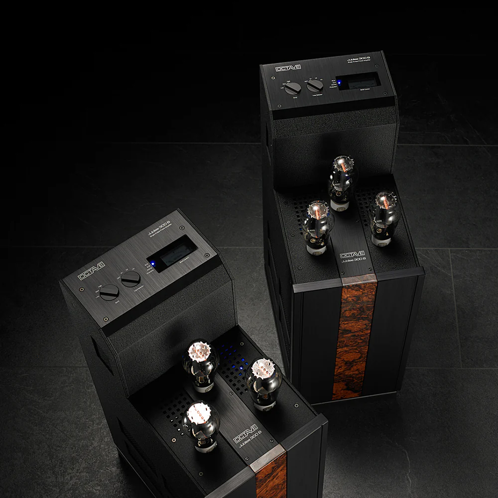 Octave Jubilee 300 B Monoblock Amplifiers - Image 3