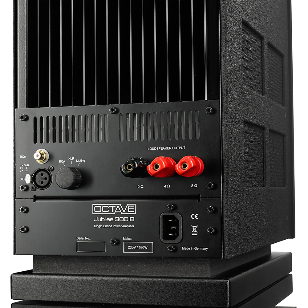 Octave Jubilee 300 B Monoblock Amplifiers - Image 4