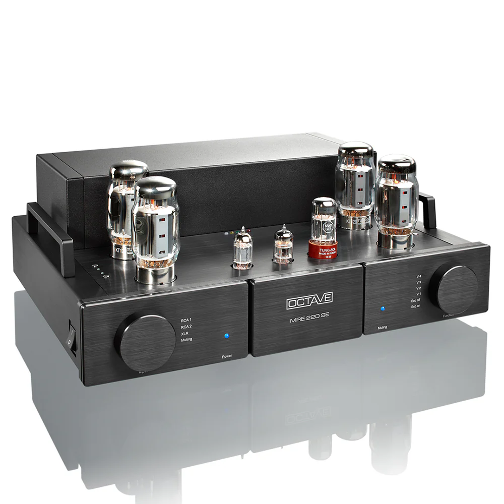 Octave MRE 220 SE Power Amplifier - Image 5