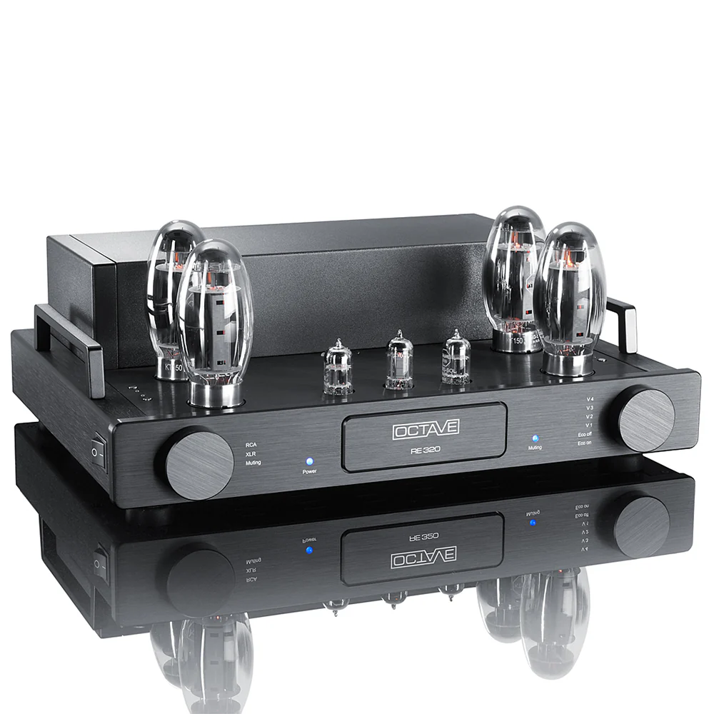 Octave RE 320 Power Amplifier - Image 5