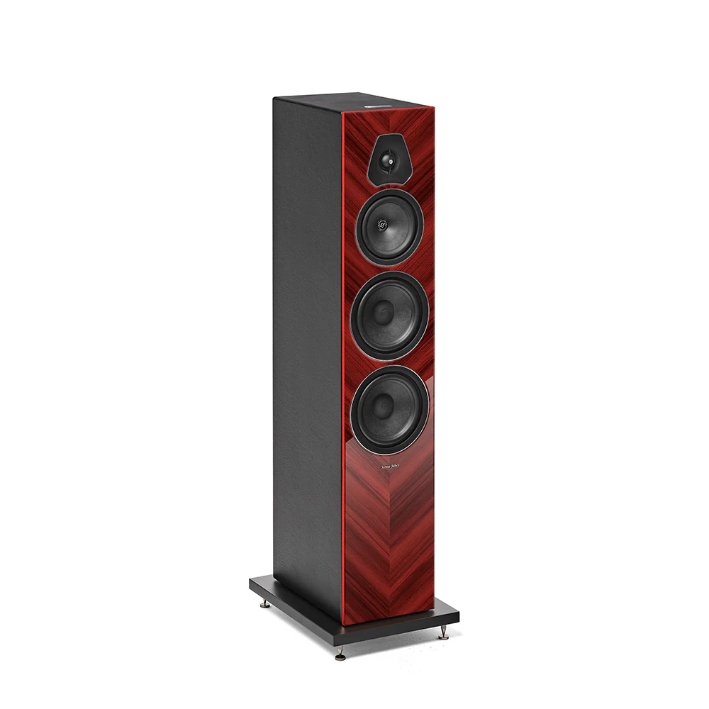 Sonus faber Lumina V Amator Floorstanding Speakers - Image 5