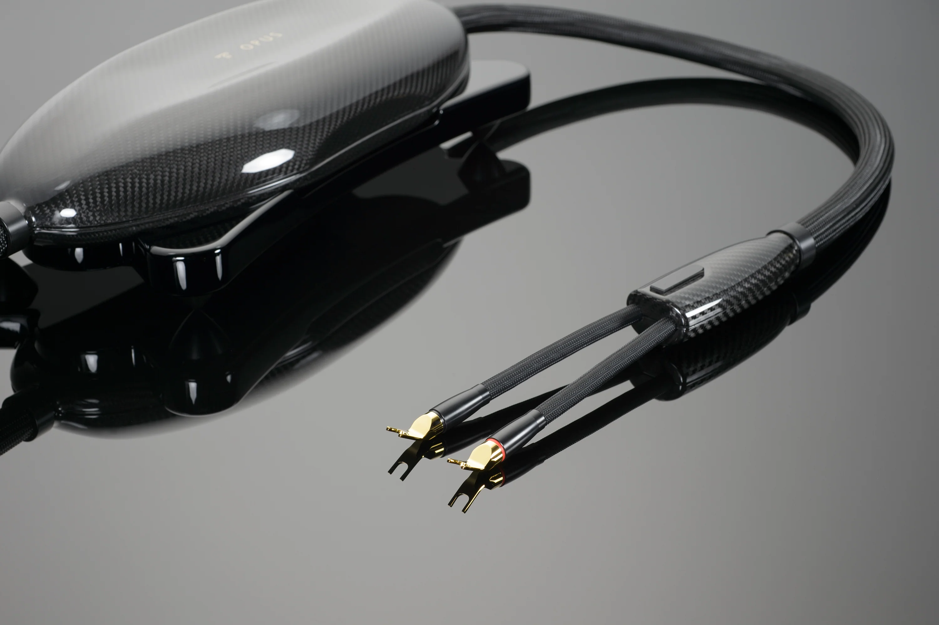 Transparent Opus Speaker Cable - Image 3