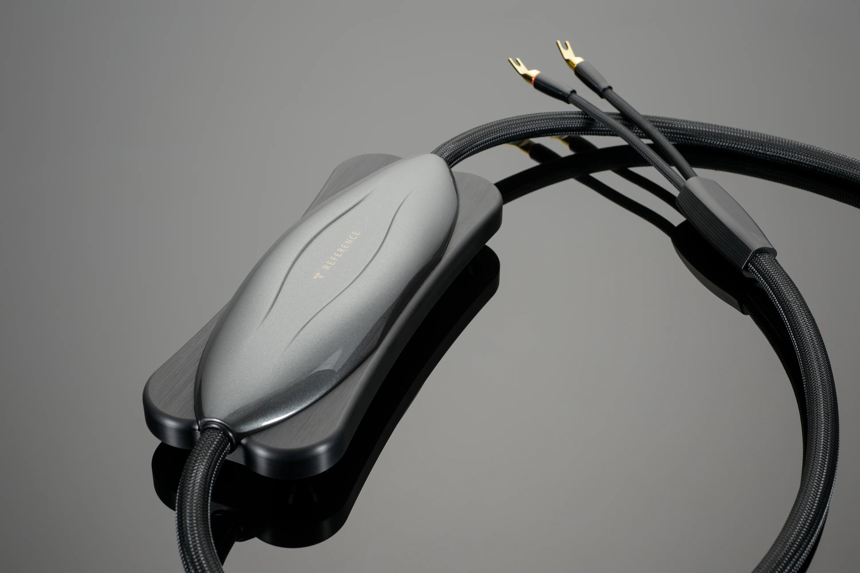 Transparent Reference Speaker Cable - Image 3