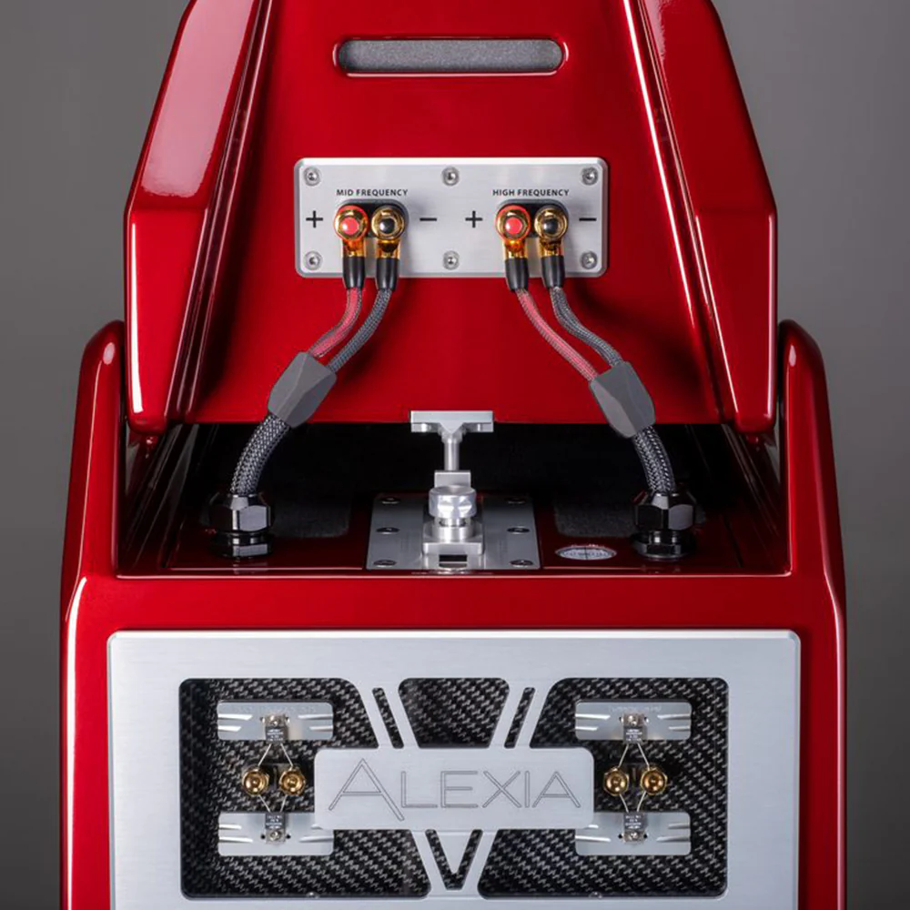 Wilson Audio Alexia V Floorstanding Speaker - Image 7
