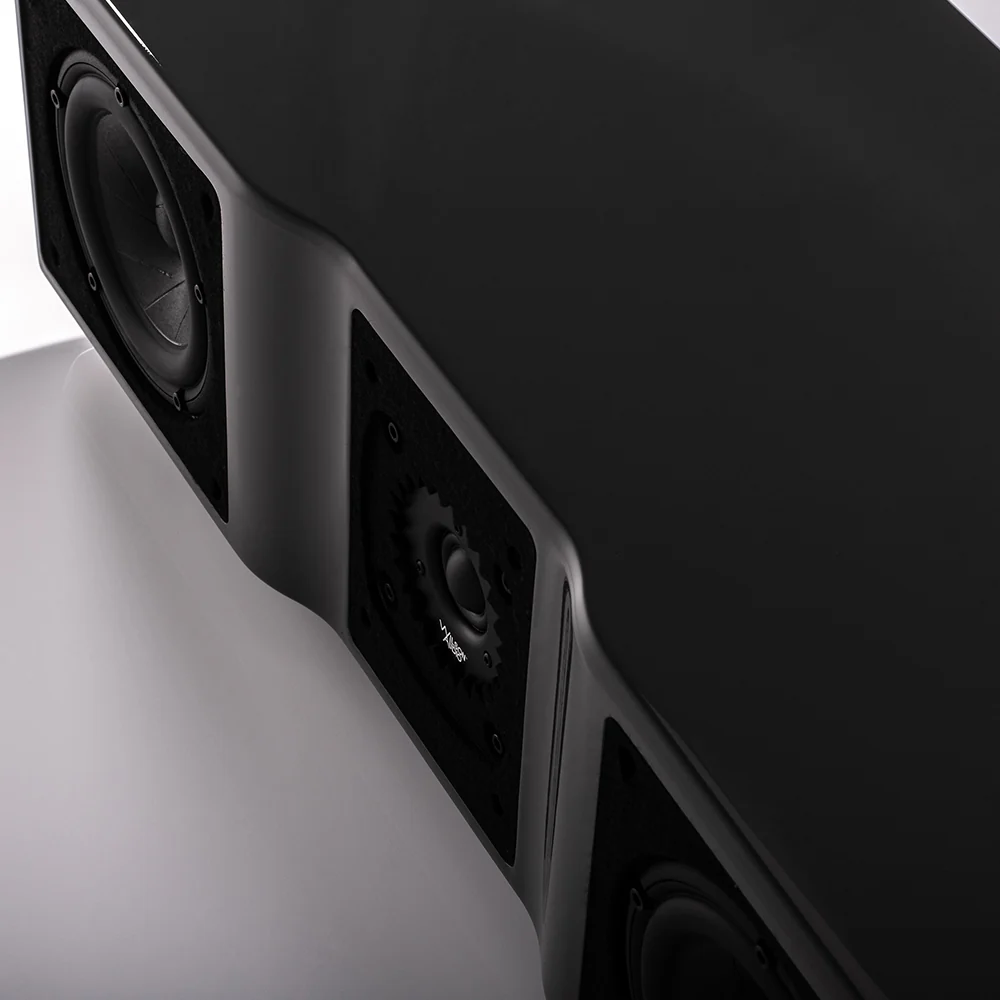 Wilson Audio WASAE Center Speaker - Image 11
