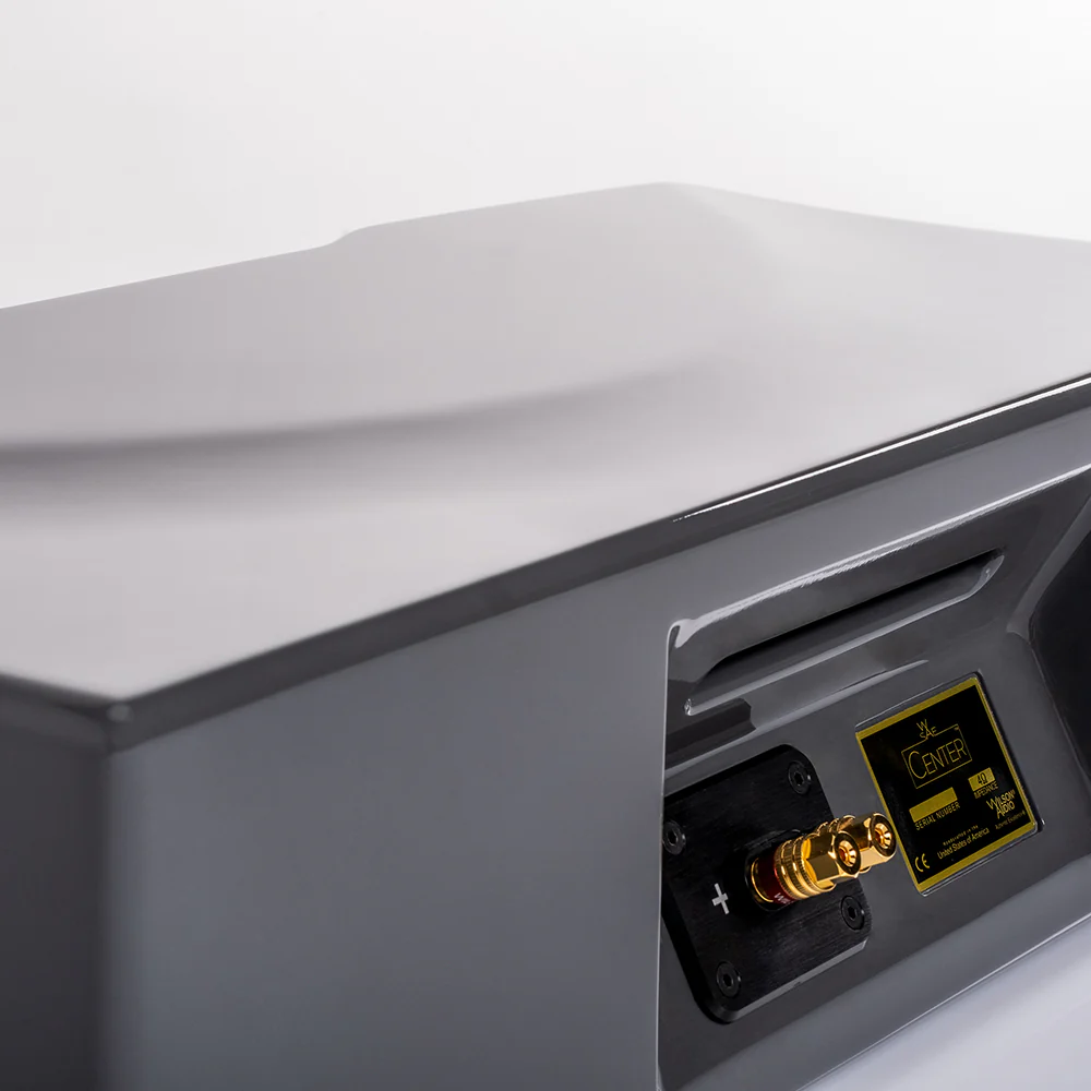 Wilson Audio WASAE Center Speaker - Image 12