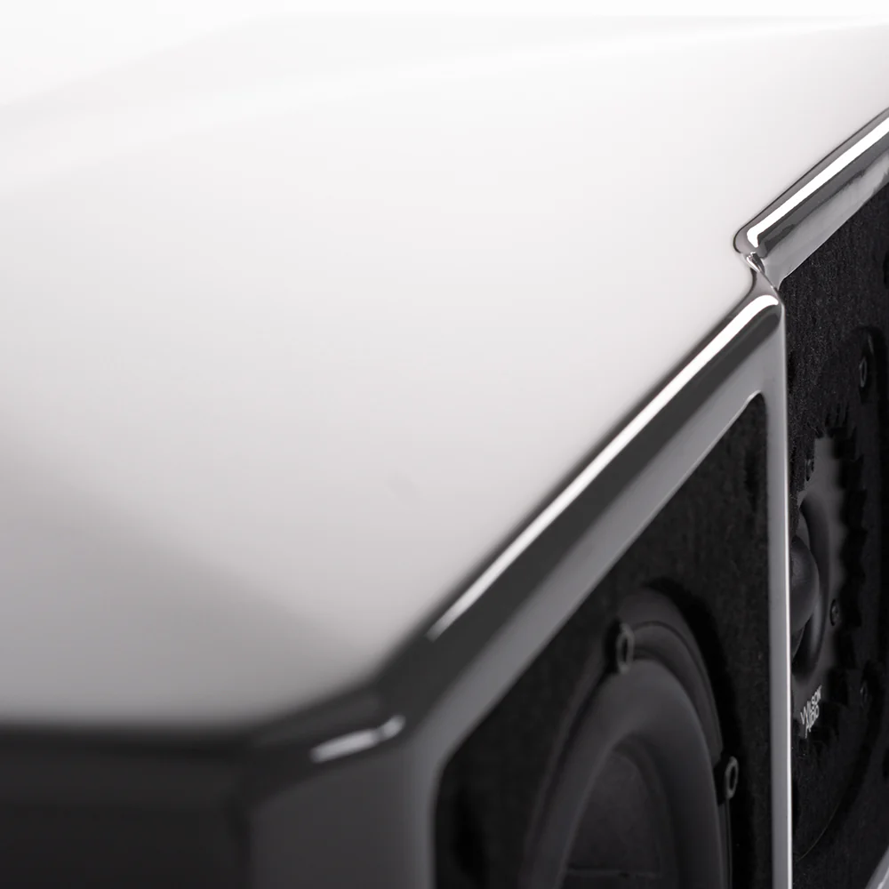 Wilson Audio WASAE Center Speaker - Image 13