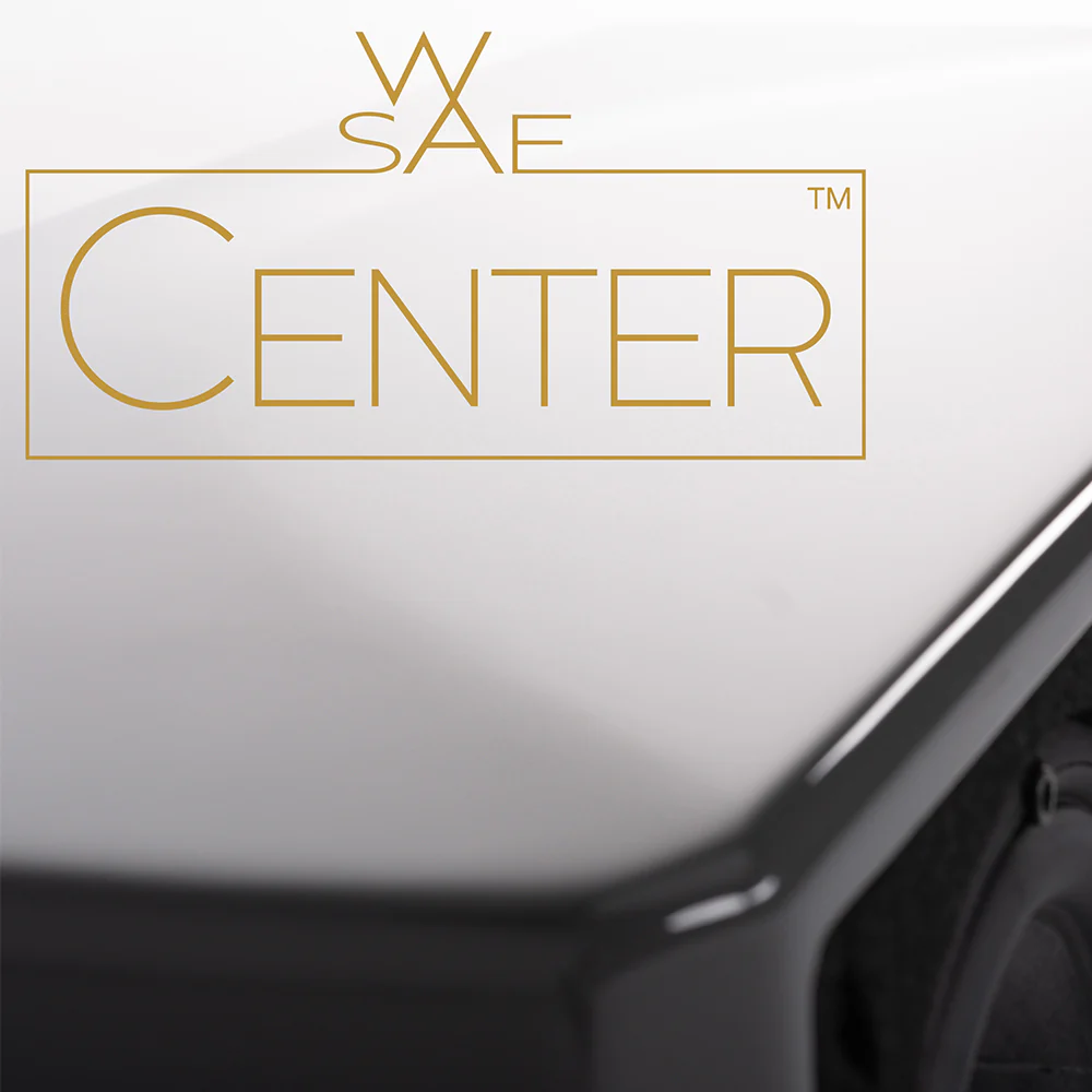 Wilson Audio WASAE Center Speaker - Image 21